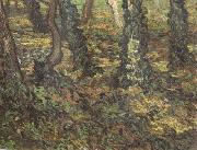 Tree Trunks with Ivy (nn04) Vincent Van Gogh